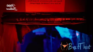 nikitabellucci #9763187