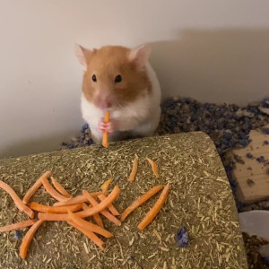 Video by baddslayer published on July 15,2023 21:19:00 - BestThots