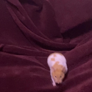 Video by baddslayer published on June 1,2023 11:39:00 - BestThots