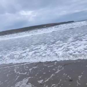 Video by kelseyxo published on August 16,2023 07:38:39 - BestThots