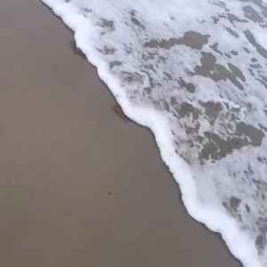 Video by kelseyxo published on April 26,2023 14:40:00 - BestThots