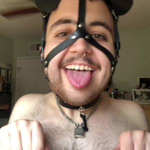transturbation #4807099