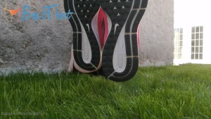 lilypod #9717704