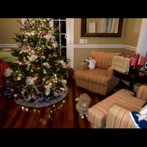 Video by therealjennajay published on June 1,2023 20:05:00 - BestThots
