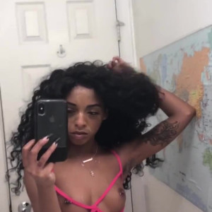 briabackwoods #5180761