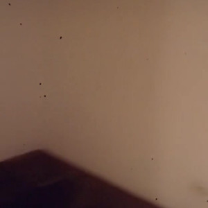 Video by sabinarouge published on March 4,2023 04:45:00 - BestThots