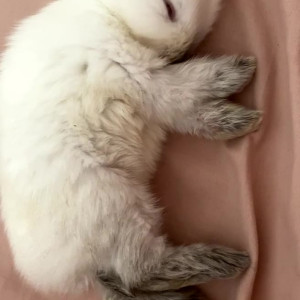 Video by sabinarouge published on August 3,2023 18:14:00 - BestThots