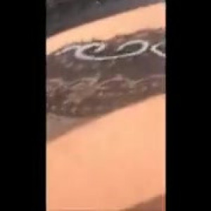 Video by emily_balfour published on July 17,2023 16:52:00 - BestThots