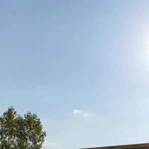 Video by zswaez published on June 23,2023 17:34:00 - BestThots
