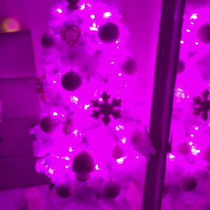 Video by lusiannemfc published on March 18,2023 22:50:00 - BestThots