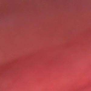 Video by chloesigloo published on March 31,2023 15:45:00 - BestThots