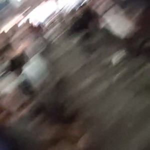 Video by giahill published on June 20,2023 20:21:00 - BestThots