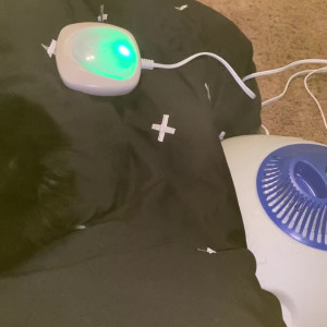 Video by thesarahbnkx published on June 4,2023 20:41:00 - BestThots