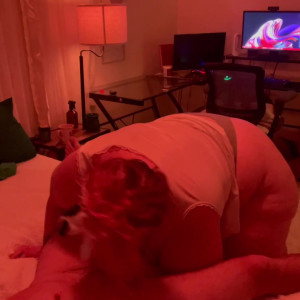 Video by bbwtarah published on June 17,2023 19:39:00 - BestThots