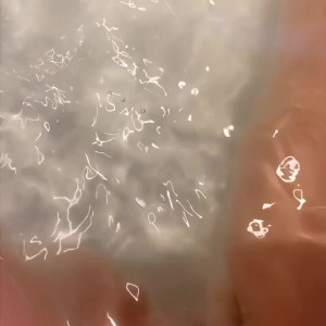 Video by laceybender published on March 21,2023 08:54:00 - BestThots