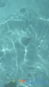 goddess.grace #9731546