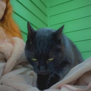 Video by alexharper published on November 20,2023 18:57:20 - BestThots