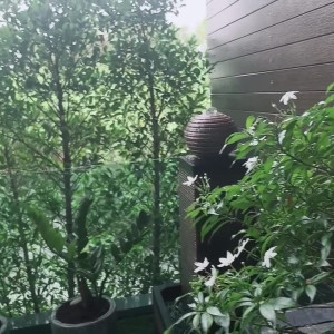 Video by september.k published on April 14,2023 16:10:00 - BestThots