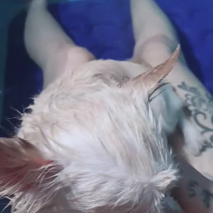 Video by september.k published on May 22,2023 04:37:00 - BestThots