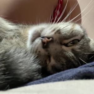 Video by louisakhovanski published on June 16,2023 19:05:00 - BestThots