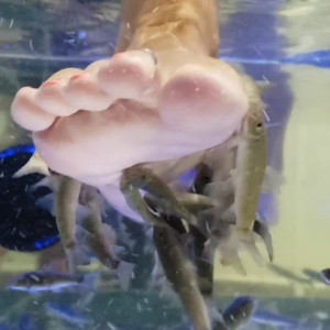 Video by sexyfeetgirl2020 published on May 17,2023 14:27:00 - BestThots