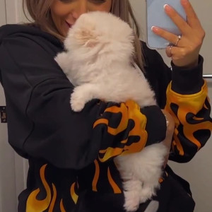 bootyqueenbae #3557581
