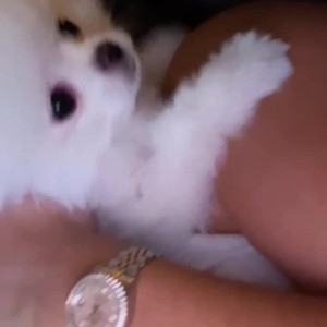 Video by bootyqueenbae published on May 27,2023 03:28:00 - BestThots