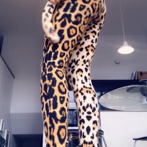 Video by jasminelilyrose_stocking published on May 6,2023 17:36:00 - BestThots