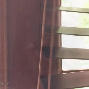 Video by freejademoon published on July 15,2023 19:17:00 - BestThots