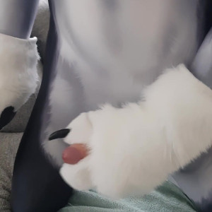 Video by matthewfoxbe published on May 11,2023 09:21:00 - BestThots