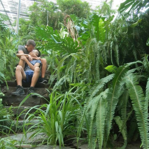 stallion_bunny #5661251