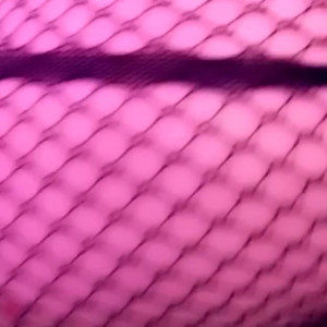 Video by toveyah published on May 15,2023 00:24:00 - BestThots