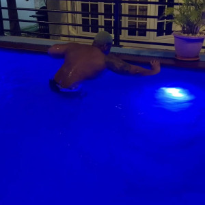 bigodogwu #5503348