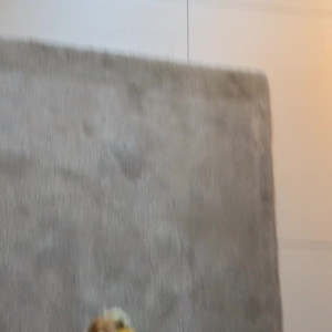 bigodogwu #5515420