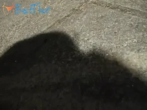Video by kimber_benton published on January 18,2025 07:02:17 - BestThots