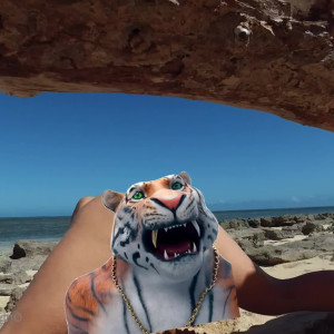 aussietwerk #4996245