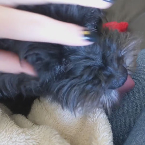 Video by jade.love published on August 24,2023 10:43:27 - BestThots