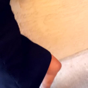 Video by teacherpet published on August 24,2023 11:27:41 - BestThots