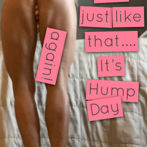 Video by teacherpet published on August 24,2023 11:24:21 - BestThots