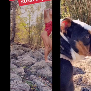 Video by teacherpet published on August 24,2023 11:41:21 - BestThots