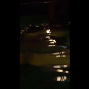 Video by jesikabest published on March 30,2023 02:40:00 - BestThots
