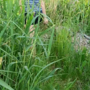 Video by lucytisane published on March 26,2023 09:37:00 - BestThots