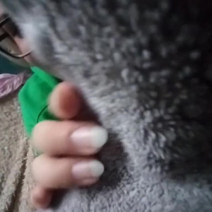 Video by masmrfree published on July 4,2023 09:17:00 - BestThots