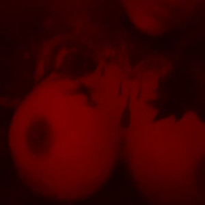Video by jackontherocks published on August 24,2023 11:34:08 - BestThots
