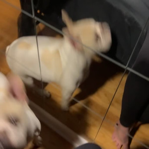 Video by jackontherocks published on August 24,2023 11:36:10 - BestThots