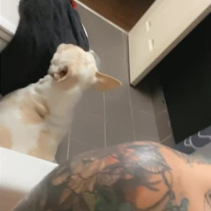 Video by jackontherocks published on August 24,2023 11:42:03 - BestThots