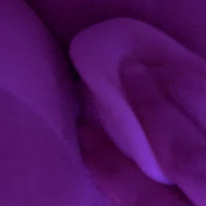 Video by zoeyuso published on July 10,2023 13:28:00 - BestThots