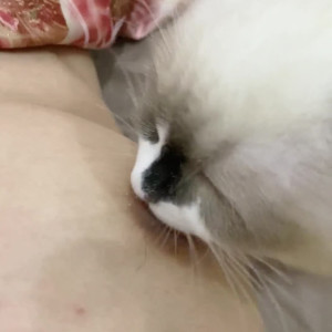 zhangheyu #5863612