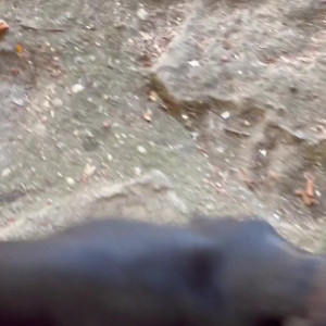 Video by bellabodhi published on July 25,2023 18:57:00 - BestThots