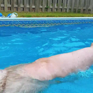 Video by plump_princess published on June 14,2023 20:00:00 - BestThots